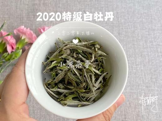 2020高山牡丹王《春望》（100克罐装） 商品图1