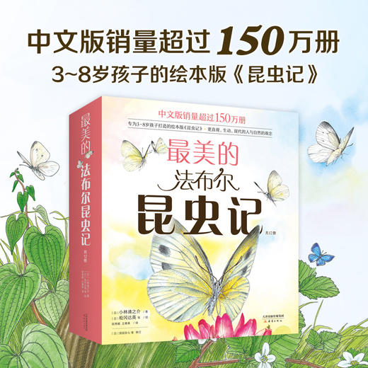 【果壳&爱心树】zui美的法布尔昆虫记（畅销十年，销量突破150万册） 商品图0