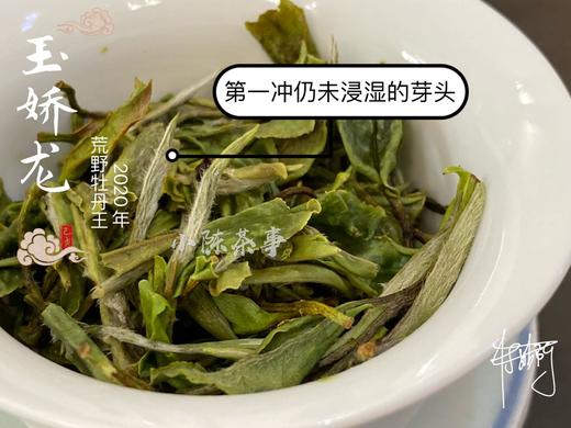 2020荒野牡丹王（60克罐装），太姥山间桀骜不驯的玉娇龙 商品图14