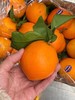 周四取货：【好妈妈赣南脐橙】一箱毛重9斤左右，新鲜采摘，果肉细腻，香气扑鼻！酸甜可口！ 商品缩略图1