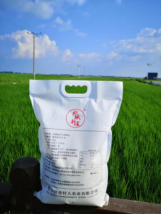 北域新农鲜米—来自五常稻花香核心产区 商品图1