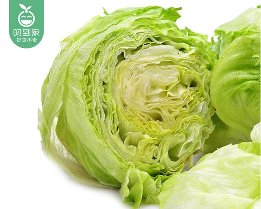 云南新鲜结球生菜/1份（1.5kg±100g） 商品图3