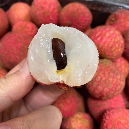 2021【澳洲桂味荔枝】浓郁的香味四处弥漫水分足而使得澳洲荔枝多汁鲜嫩 商品图0