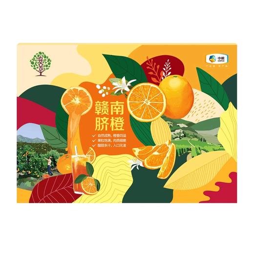 中粮安萃特级赣南脐橙礼盒5kg 商品图4