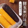 天润  有机玉米10根/盒  三工滩黑玉米 黄玉米 搭配组合装 商品缩略图1