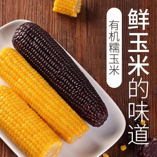 天润  有机玉米10根/盒  三工滩黑玉米 黄玉米 搭配组合装 商品图1