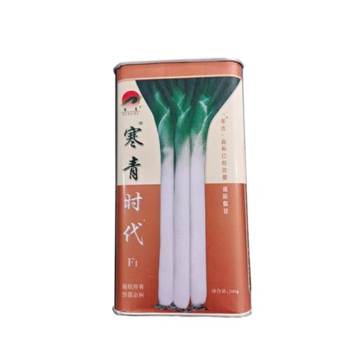 【种子限量供应】寒青时代高产长白葱，高抗病害，叶厚抗倒伏、叶子直长白大葱种子 商品图4