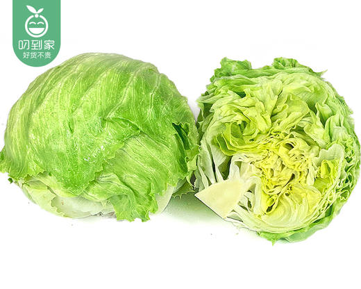 云南新鲜结球生菜/1份（1.5kg±100g） 商品图1