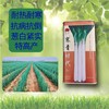 【种子限量供应】寒青时代高产长白葱，高抗病害，叶厚抗倒伏、叶子直长白大葱种子 商品缩略图1