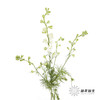 配花 | 千鸟飞燕白色 商品缩略图3