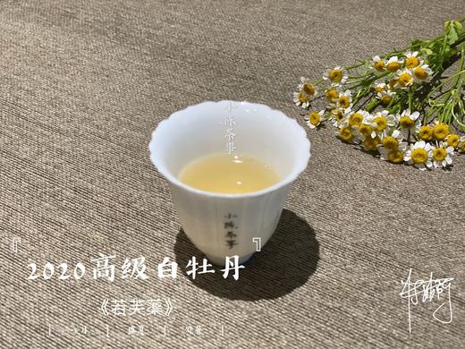 2020高级白牡丹《若芙蕖》（100克罐装），花香优雅，香气清雅 商品图8