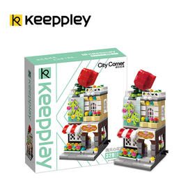 T 启蒙C0104满天星花房