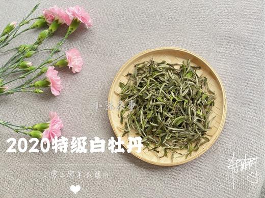 2020高山牡丹王《春望》（100克罐装） 商品图4