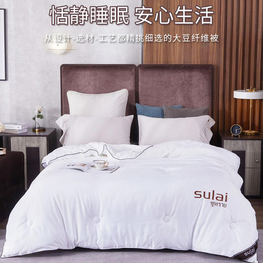【泰国】进口素莱大豆纤维七孔抑制病菌被加厚秋冬双人被芯学生宿舍保暖 商品图0