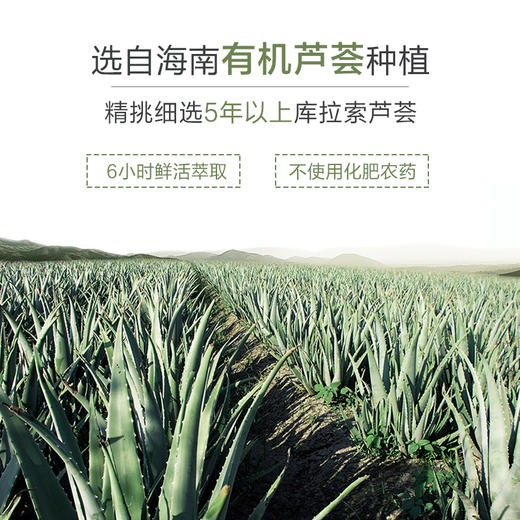 【69元3件、99元5件】芦荟面膜 补水保湿祛痘淡化痘印收缩毛孔 商品图3