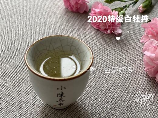 2020高山牡丹王《春望》（100克罐装） 商品图9