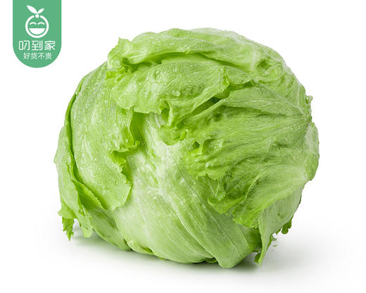 云南新鲜结球生菜/1份（1.5kg±100g） 商品图6