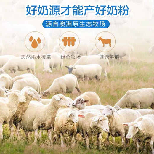 澳洲美可卓纯山羊奶粉400g 商品图5