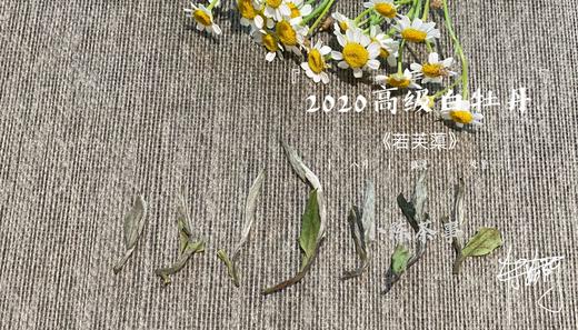 2020高级白牡丹《若芙蕖》（100克罐装），花香优雅，香气清雅 商品图4