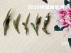 2020高山牡丹王《春望》（100克罐装） 商品缩略图3