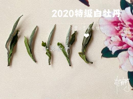 2020高山牡丹王《春望》（100克罐装） 商品图3