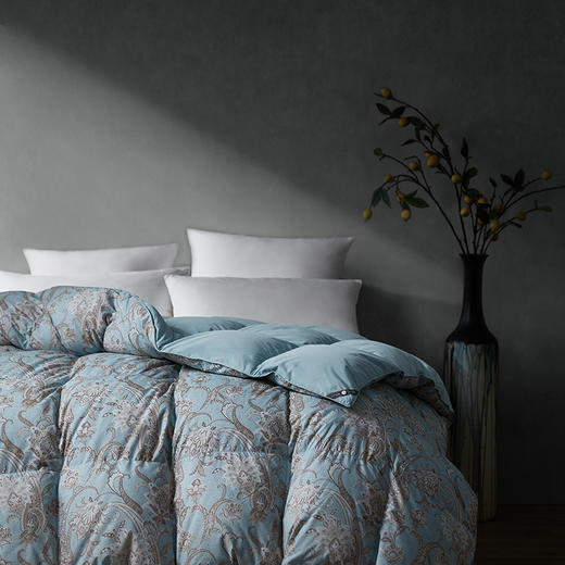 艾伯塔可水洗匈牙利鹅绒被系列 商品图2