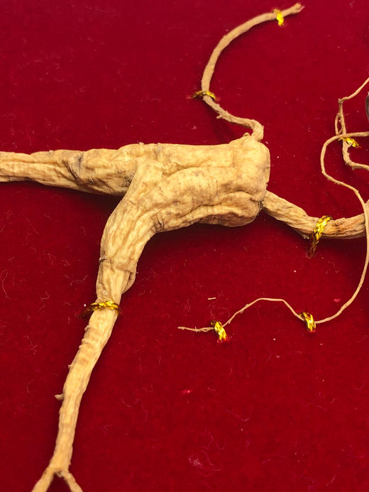 野山参 商品图1