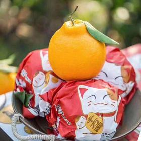 【招财猫春见耙耙柑礼盒】约8.5斤/礼盒，汁水丰盈、脆嫩无渣