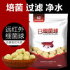 森森鱼缸七合一滤材细菌球麦饭石玻璃环水族箱过滤器鱼池过滤材料 商品缩略图1