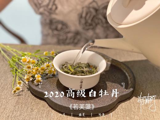 2020高级白牡丹《若芙蕖》（100克罐装），花香优雅，香气清雅 商品图2