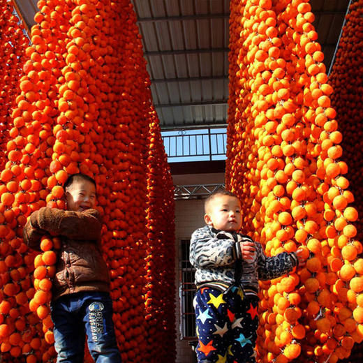 特惠活动『富平溏心柿饼』软糯流心，浓郁甜蜜，馈赠佳品 商品图2