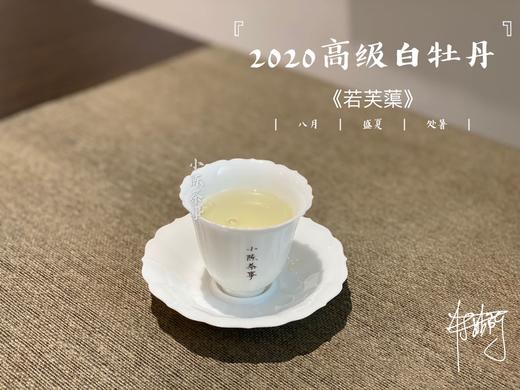 2020高级白牡丹《若芙蕖》（100克罐装），花香优雅，香气清雅 商品图9