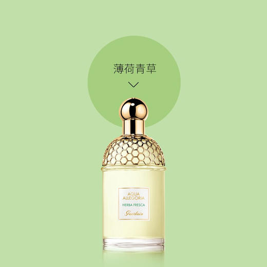 【限时折扣】Guerlain娇兰薄荷青草香水 商品图2