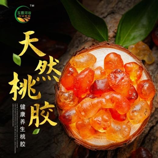 （乡村振兴商品）雨露河谷 桃胶500g 商品图0