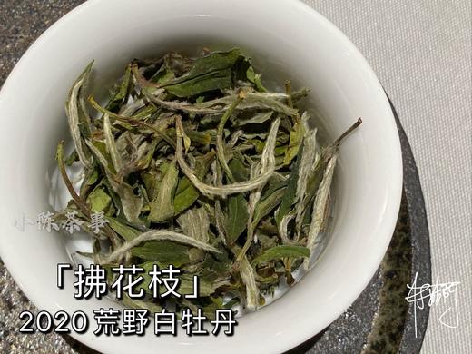 老茶友的心仪之选2020荒野牡丹《拂花枝》（60克罐装） 商品图12