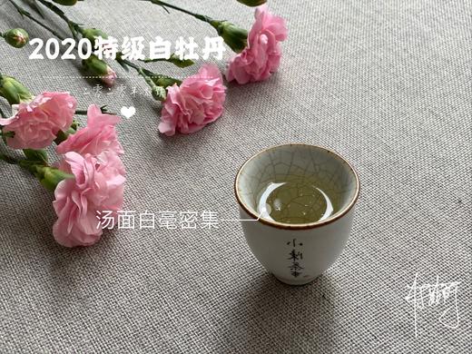 2020高山牡丹王《春望》（100克罐装） 商品图7