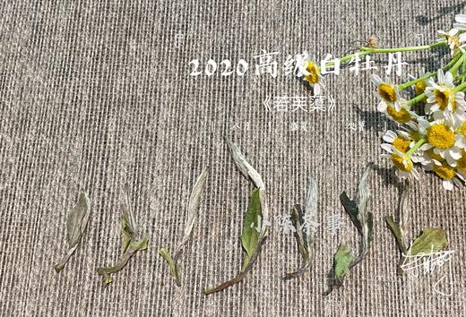 2020高级白牡丹《若芙蕖》（100克罐装），花香优雅，香气清雅 商品图5