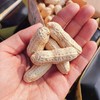 【福建龙岩花生】250g*3袋/6袋，非物质文化遗产 商品缩略图3