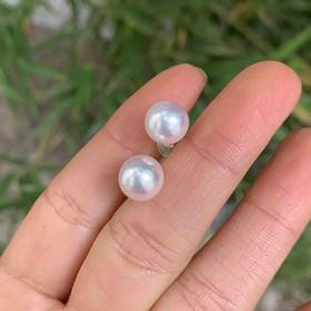 【闭眼入】8.5毫米上品Akoya珍珠耳钉