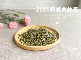 2020高山牡丹王《春望》（100克罐装）