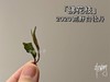 老茶友的心仪之选2020荒野牡丹《拂花枝》（60克罐装） 商品缩略图8