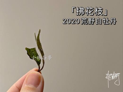 老茶友的心仪之选2020荒野牡丹《拂花枝》（60克罐装） 商品图8