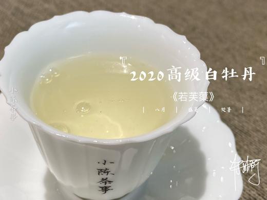 2020高级白牡丹《若芙蕖》（100克罐装），花香优雅，香气清雅 商品图10