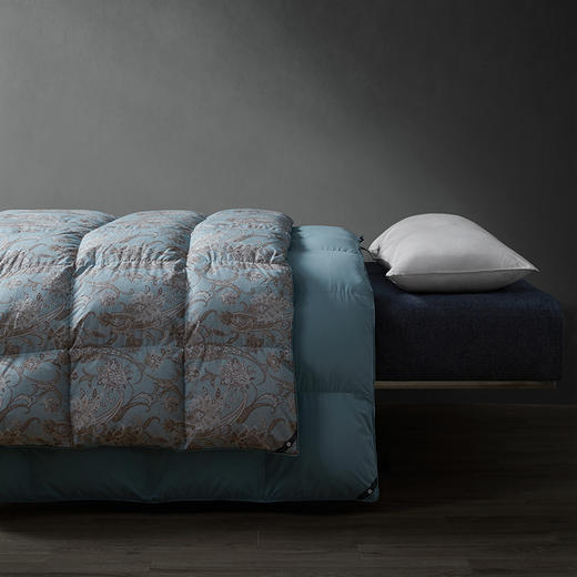 艾伯塔可水洗匈牙利鹅绒被系列 商品图1