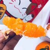 【招财猫春见耙耙柑礼盒】约8.5斤/礼盒，汁水丰盈、脆嫩无渣 商品缩略图2