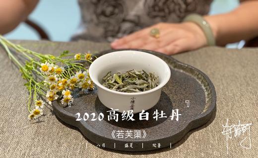 2020高级白牡丹《若芙蕖》（100克罐装），花香优雅，香气清雅 商品图1
