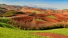 云南油菜花海A线——建水•元阳梯田•东川红土地•碧色寨•城子古村•罗平油菜花海9天 商品缩略图13