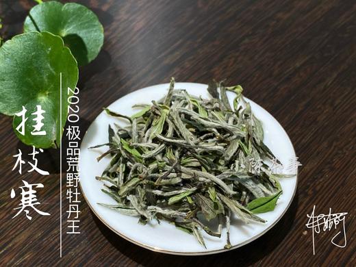 2020荒野牡丹王中的特级（挂枝寒），花香与毫香中蕴在挂枝寒意里的温柔汤 商品图2