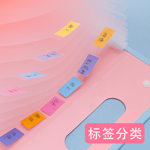 【丽享】开学季福利！【13层大容量，试卷分类收纳】试卷收纳袋手提竖式风琴包文件夹资料册创意票据试卷夹糖果色简约文件袋 商品图2