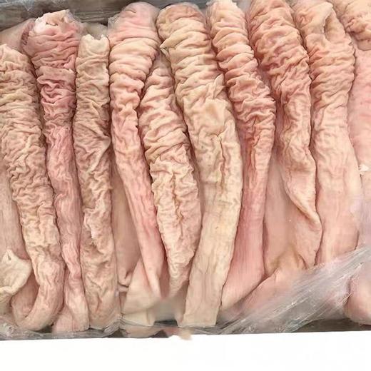 冻免洗大肠头5千克 商品图0